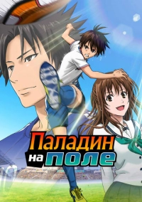 Паладин на поле (2012)