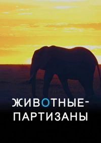 Животные-партизаны (2021)