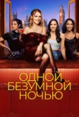 Одной безумной ночью (2023)