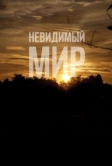 Невидимый мир (2012)