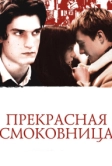 Прекрасная смоковница (2008)