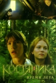 КостяНика. Время лета (2006)