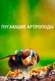 Пугающие артроподы (2020)