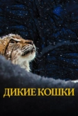 Дикие кошки (2021)
